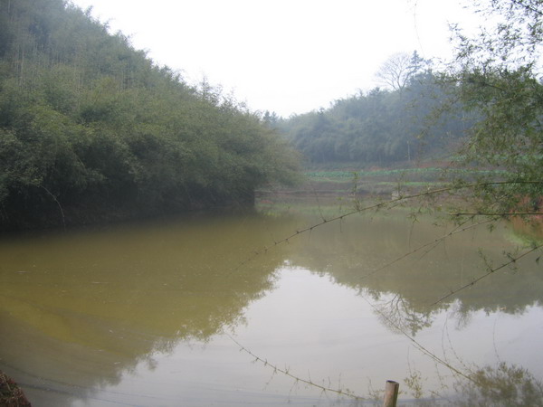 dvubb 图片点击可在新窗口打开查看