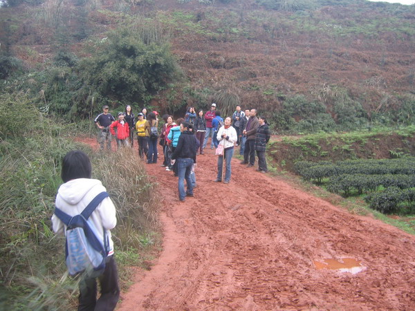 dvubb 图片点击可在新窗口打开查看