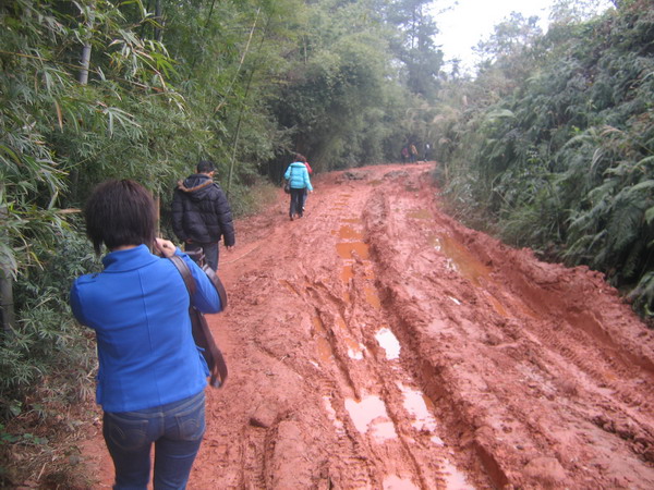 dvubb 图片点击可在新窗口打开查看