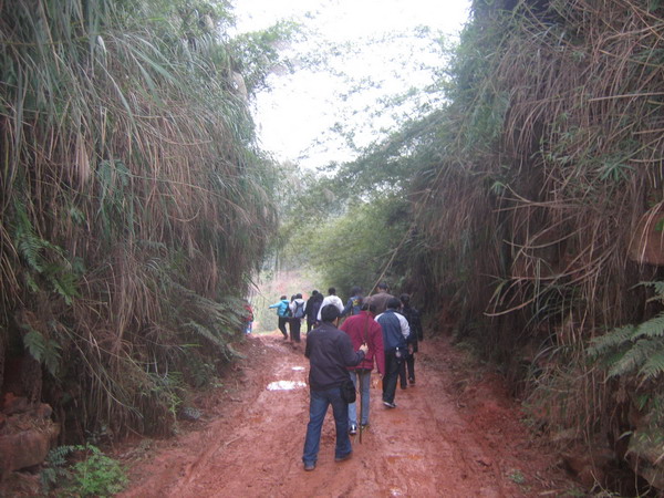 dvubb 图片点击可在新窗口打开查看