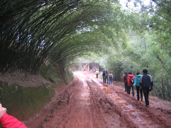 dvubb 图片点击可在新窗口打开查看