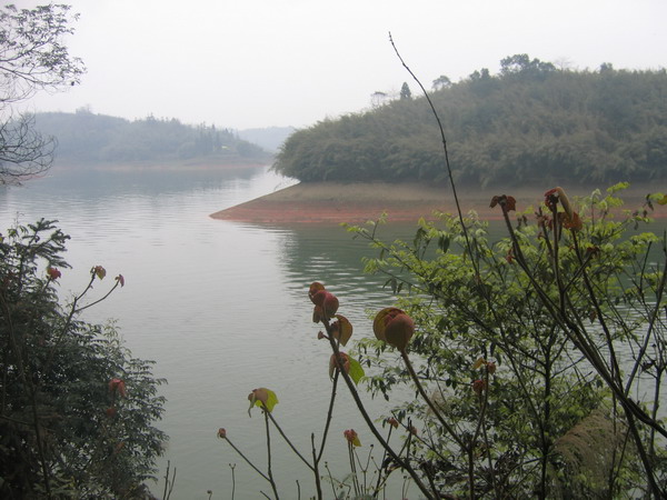 dvubb 图片点击可在新窗口打开查看