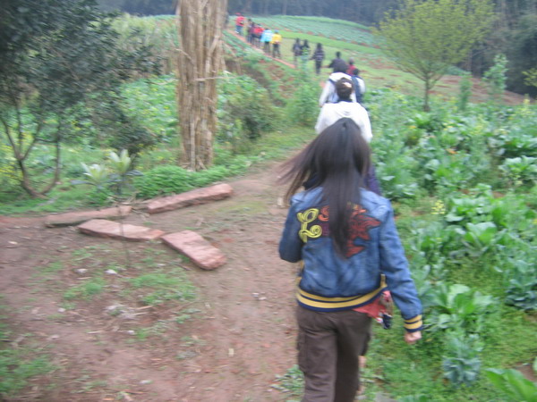 dvubb 图片点击可在新窗口打开查看