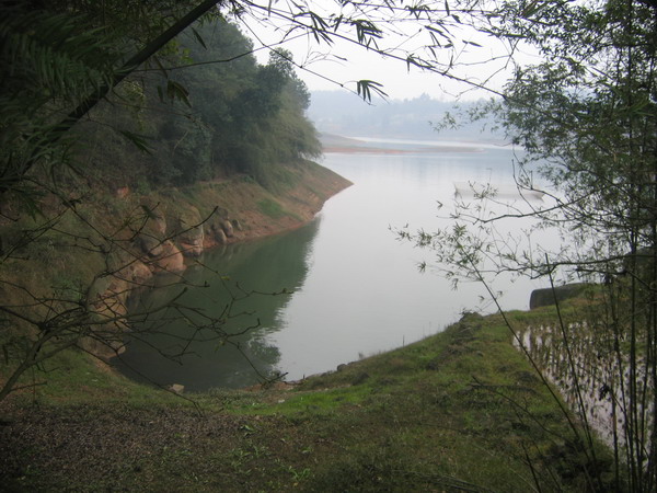 dvubb 图片点击可在新窗口打开查看