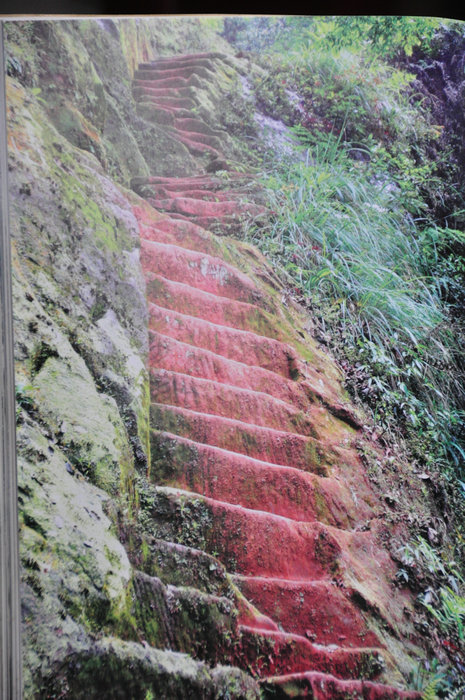 dvubb 图片点击可在新窗口打开查看