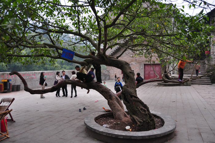 dvubb 图片点击可在新窗口打开查看