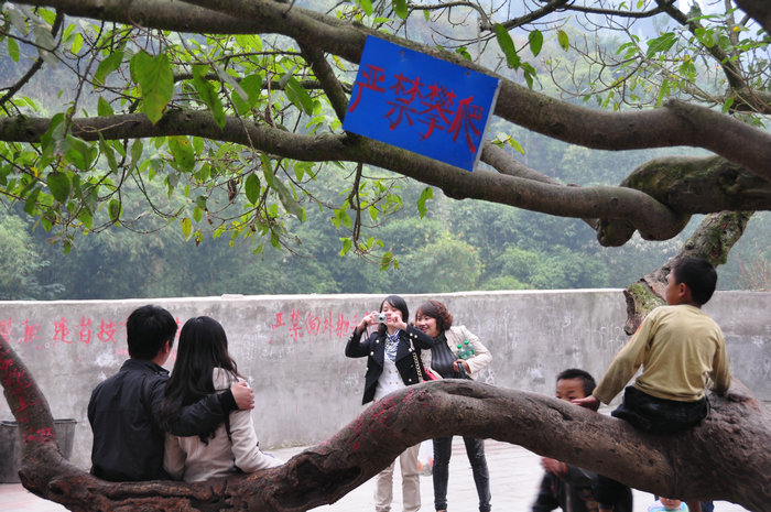 dvubb 图片点击可在新窗口打开查看