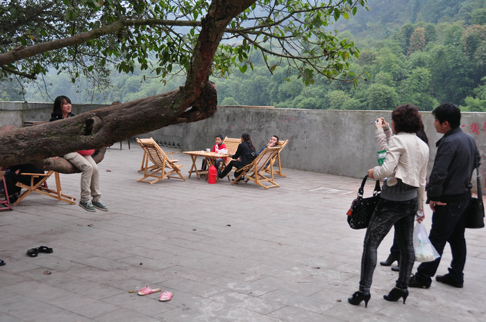 dvubb 图片点击可在新窗口打开查看