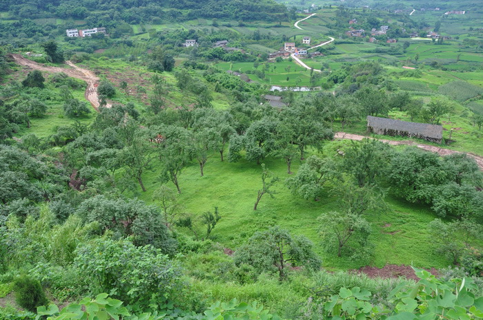 dvubb 图片点击可在新窗口打开查看