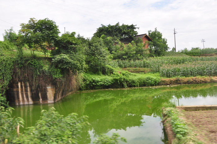 dvubb 图片点击可在新窗口打开查看