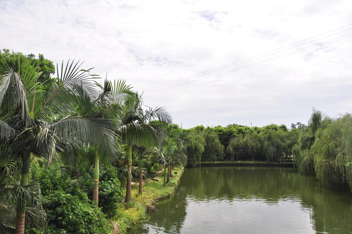 dvubb 图片点击可在新窗口打开查看