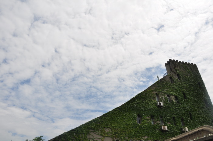 dvubb 图片点击可在新窗口打开查看