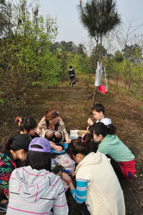 dvubb 图片点击可在新窗口打开查看