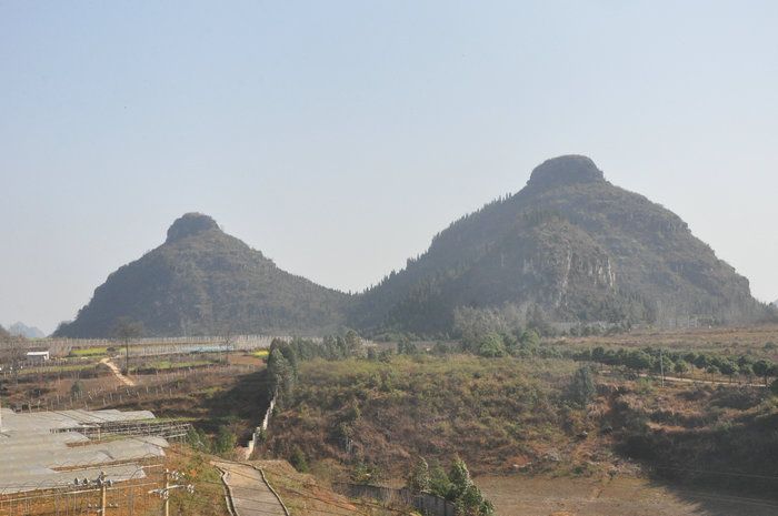 dvubb 图片点击可在新窗口打开查看