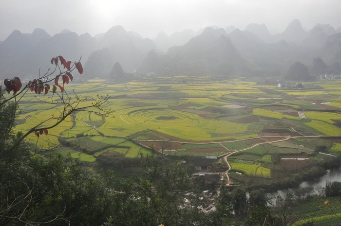 dvubb 图片点击可在新窗口打开查看